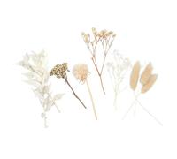 Fleurs séchées - MÉGACRÉA DIY - 10 pièces - Blanc - H jusqu'à 13 cm - Décoration intérieure