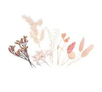 Fleurs séchées - MÉGACRÉA DIY - 10 pièces - Rose - H jusqu'à 13 cm - Décoration élégante