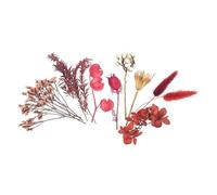 Fleurs séchées - MÉGACRÉA DIY - Bordeaux - 10 pièces - H 13 cm - Décoration intérieure