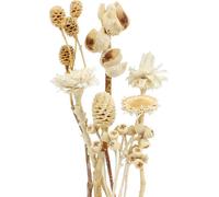 Fleurs séchées Mix 60pcs Assortiment de fleurs exotiques blanchies pour l'art floral et la décoration de table