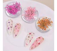 Fleurs Séchées Nail Art Ongles Set Décoration Ongle Multicolore Avec 3 Couleurs Tendances Pour Design Ongle Élégant