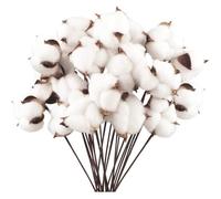 Fleurs séchées - Nature - 20 pcs - Coton naturel - Décoration intérieure - Style campagne