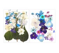 Fleurs Sechees Naturelles, Fleurs Pressées, Fleurs Séchées Pressées 2 Sachets env. 40 Fleurs Sechees pour Résine, Cartes, Marque-Pages, Cadres, Bijoux DIY