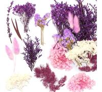 fleurs séchées naturelles fleurs sèches colorées colorées fleurs sauvages séchées naturelles fleurs sèches placées pour couronnes fleurs sèches pour bricolage pour le bricolage artisanat de la bricola