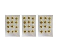 Fleurs séchées naturelles Marguerite blanche Fleur pressée f