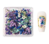 Fleurs séchées - Ongles japonais - Décoration pour ongles en acrylique - Accessoires de manucure - Fleur séchée - Ongles japonais - Décorations d'art