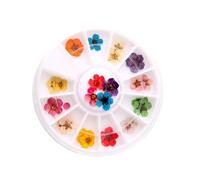 Fleurs Séchées Ongles Nail Art, Boîte 1 Pièce, Fleurs 5 Pétales | Plum Blossom en Fleurs Séchées, Format Portable à Emporter, Usage Maison et Professionnel