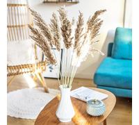 Fleurs séchées plumeau de provence