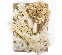 Fleurs Séchées pour L'artisanat,Vraies Fleurs Séchées,Fleurs Séchées Naturelles Deco,Fleurs Séchées Mélangées pour DIY Scrapbooking Savon Bougies Resine (Style Blanc)