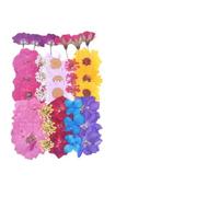 Fleurs Séchées Pressées 3 sachets de Fleurs séchées DIY