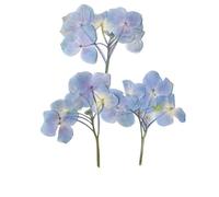 Fleurs Séchées Pressées 6-9 cm/12 pièces, Mini Branches de Fleurs d'hortensia pressées, séchées, Autocollants à Feuilles véritables, Marque-Pages, Cartes vœux, Maquillage du Visage(Blue)