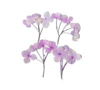 Fleurs Séchées Pressées 6-9 cm/12 pièces, Mini Branches de Fleurs d'hortensia pressées, séchées, Autocollants à Feuilles véritables, Marque-Pages, Cartes vœux, Maquillage du Visage(Pink Purple)