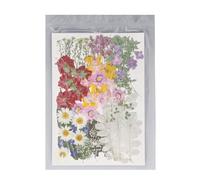 Fleurs Séchées Pressées Naturelles, 100 Pièces Colorées, Kit DIY Créatif - Parfait pour Bijoux, Bougies, Décorations et Artisanat
