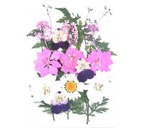Fleurs séchées pressées naturelles authentiques pressées fleurs et feuilles gaufrées mini autocollants papillon pour l'art bricolage résine scrapbooking artisanat cartes fabrication