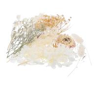 Fleurs Séchées Pressées Naturelles pour Résine, Loisirs Créatifs | Effet Texturé Brillant, Couleur Solide, Blanc Élégant, pour -pages, Papeterie, Scrapbooking