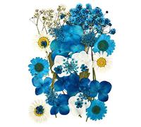 Fleurs Séchées Pressées Naturelles pour Scrapbooking Artisanat Pressé Fleur Décoratives Mixtes Neuf Styles pour Bricolage Art Décorations Florales Décors (Bleu)