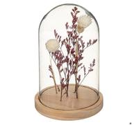 Atmosphera - Fleurs séchées sous Cloche Gypsy H17 cm - Prune