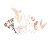 Fleurs séchées - Ton Rose - 10 pièces - jusqu'à H 13 cm Environ - Couleur Douce, Pastel, épis, Feuillage, Esprit, Mode, Style, bohème, Campagne, Chic, fête des mères, Cadeaux, Anniversaire, noël