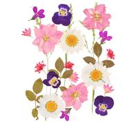Fleurs Séchées Vrac, Pressées et Mixtes pour Fabrication de Cadres Photo DIY, Bijoux Artisanaux - Chants d'oiseaux et Fleurs Parfumées (24 Pièces)