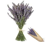 Fleurs Sèches,CHENKEE 120g Bouquets de Fleurs Séchées Naturelles Lavande Fleurs Séchées Bricolage Fleurs Pressées Artificielles pour Décoration de Fête Jardin Bureau à Domicile Chambre