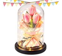 Fleurs Stabilisées Décoration Romantique de Bureau sous Cloche en Verre | Bouquet de Fleurs Séchées avec Éclairage à LED Pour Femme Épouse Petite Amie Jour de la Saint-Valentin Anniversaire Fête
