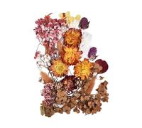 Fleurs triées en résine - Beautiful Colorful Real Flora | 10 Couleurs Supplies For Making Scented Candles, Epoxy Resins, Pendants, Necklaces, Jewelry, Pressed Botanical Specimen For DIY Casting Crafts