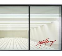 Fleury, Sylvie - Sylvie Fleury: Double Positive