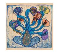 Fleuves De L'ame - Cd Album