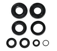 Flewdart kit pochette de joints spy pour Moto AM6 50cc, pack de joint spy pour MBK Xlimit Xpower DT RS XP6-XPS Beta Rieju TZR Sherco,minarelli AM6 vilo embrayage pompe pignon selecteur