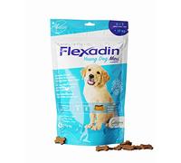 Flexadin® Young Dog Maxi | pour des articulations saines des Jeunes Chiens à partir de 10 kg | avec glucosamine, chondroïtine, oméga-3, Griffe du Diable - 60 friandises articulaires