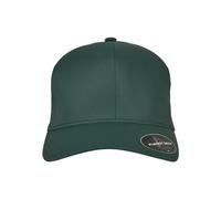 Flexfit Casquette de Baseball Delta Unisexe Spruce L/XL