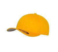 Flexfit - Casquette de baseball - Enfant (PC4861)