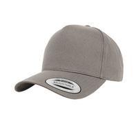 Flexfit - Casquette de baseball motif/style 5 panneaux CLASSIC (BC6976)