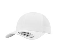 Flexfit - Casquette de baseball motif/style courbé CLASSIC (BC6930)