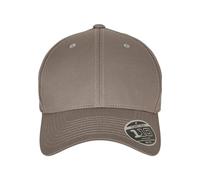 Flexfit Casquette de Baseball Unisexe 110 Curved Visor Snapback - Gris - Taille Unique