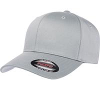 Flexfit - Casquette pour enfants PC2104 (Taille unique) (Argent)
