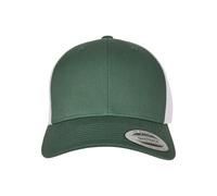 Flexfit Casquette de Baseball Unisexe, Opaque, Vert/Blanc, Taille Unique