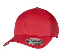 Flexfit Unisex 110 Mesh Cap