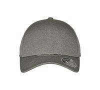 Flexfit Unisex-Adult 110 Melange Unipanel Baseball Cap, Buck, one Size