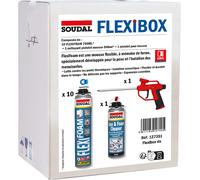 Flexi Box pistolet + nettoyant + mousses Flexifoam - SOUDAL - 127351
