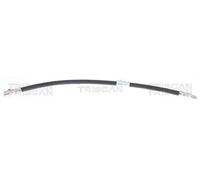 Flexible de frein TRISCAN 8150 11219