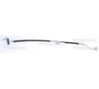 TRISCAN 8150 43167 Flexible de frein