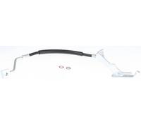Flexible de frein 8150 80212 TRISCAN pour CHRYSLER VOYAGER IV