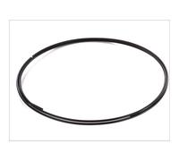 Flexible de frein ATE 24.8134-0580.1