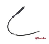 BREMBO T 06 050 Flexible de frein