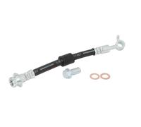 Flexible de frein DELPHI LH7372, gauche