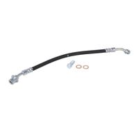 Flexible de frein DELPHI LH7810