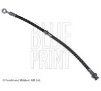 Flexible de frein BLUE PRINT ADG053272, gauche