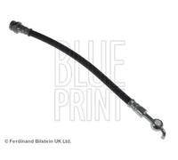 BLUE PRINT ADM55377 Flexible de frein