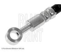 BLUE PRINT ADN153220 Flexible de frein